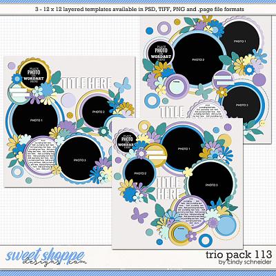Cindy's Layered Templates - Trio Pack 113 by Cindy Schneider