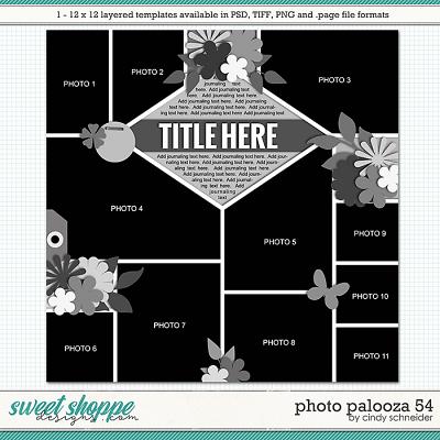 Cindy's Layered Templates - Photo Palooza 54 by Cindy Schneider