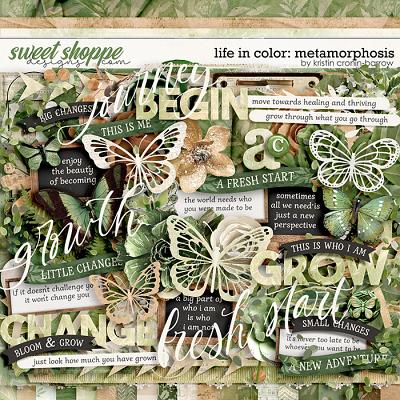 Life in Color: Metamorphosis by Kristin Cronin-Barrow 