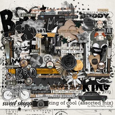 King of cool (assorted mix) by Little Butterfly Wings