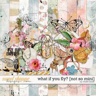 What If You Fly? [NOT SO mini] by Studio Basic