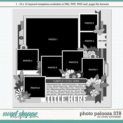 Cindy's Layered Templates - Photo Palooza 378 by Cindy Schneider