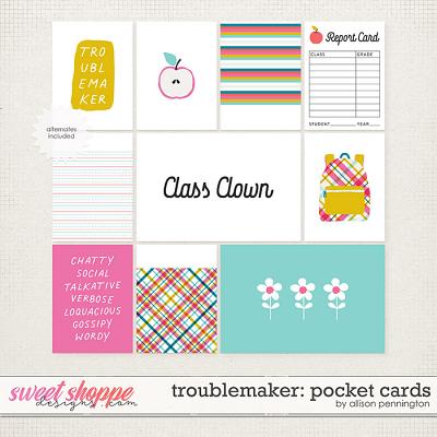 Troublemaker: Pocket Cards by Allison Pennington