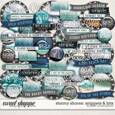 Stormy Shores: Snippets & Bits by Kristin Cronin-Barrow