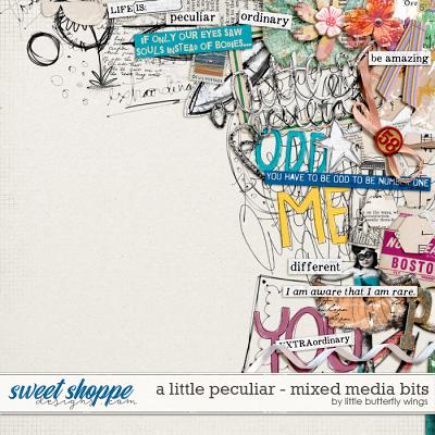 A little peculiar mixed media bits by Little Butterfly Wings