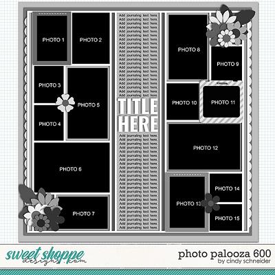 Cindy's Layered Templates - Photo Palooza 600 by Cindy Schneider