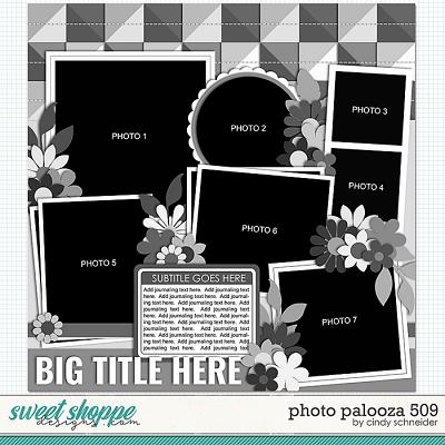 Cindy's Layered Templates - Photo Palooza 509 by Cindy Schneider