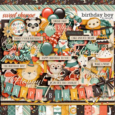 Birthday Boy by LJS Designs 
