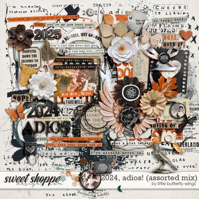 2024, adios! (assorted mix) by Little Butterfly Wings