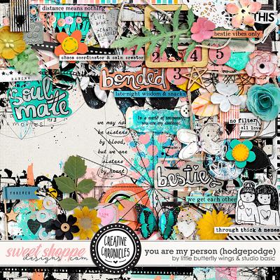Creative Chronicles: You Are My Person Hodgepodge Frenzy by Little Butterfly Wings & Studio Basic