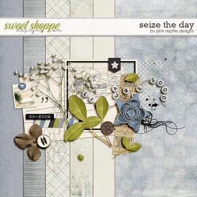 Seize The Day by Pink Reptile Designs