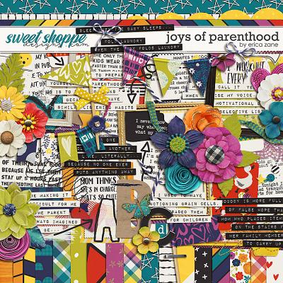 Joys of Parenthood by Erica Zane