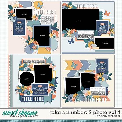 Cindy's Layered Templates - Take a Number: 2 Photo Vol. 4 by Cindy Schneider