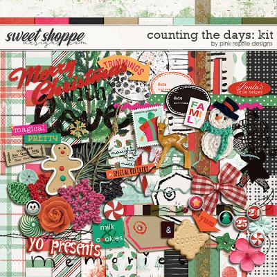 Counting The Days Kit by Pink Reptile Designs