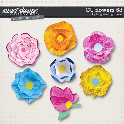 CU Flowers 58 by Blagovesta Gosheva