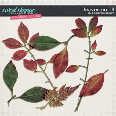 CU | Leaves No.13 by Pink Reptile Designs