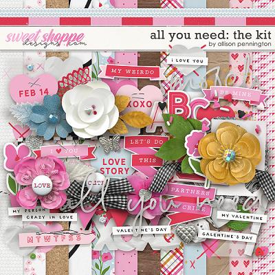 All You Need: The Kit by Allison Pennington