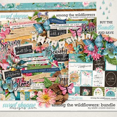 Among the Wildflowers: Bundle by Kristin Cronin-Barrow 