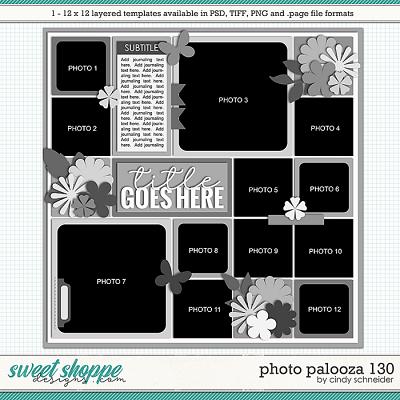 Cindy's Layered Templates - Photo Palooza 130 by Cindy Schneider