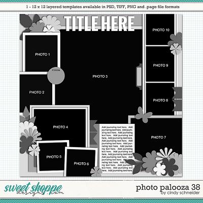 Cindy's Layered Templates - Photo Palooza 38 by Cindy Schneider