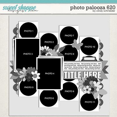 Cindy's Layered Templates - Photo Palooza 620 by Cindy Schneider