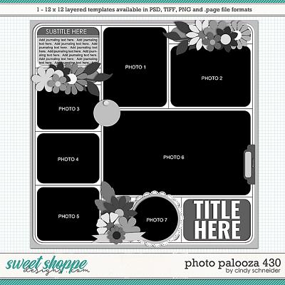 Cindy's Layered Templates - Photo Palooza 430 by Cindy Schneider