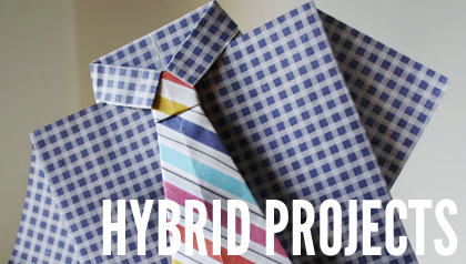 Hybrid Projects