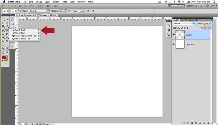 BrushAnimation1