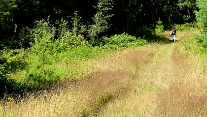 DSC_1904-web