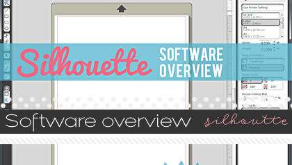 softwareoverview-silhouette