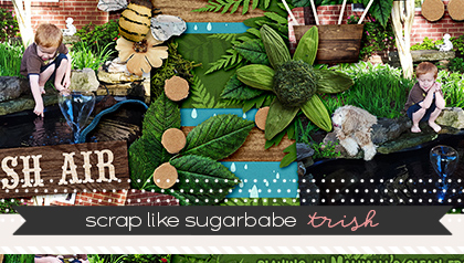 Scrap Like a Sugarbabe: Trish Harden from www.sweetshoppedesigns.com
