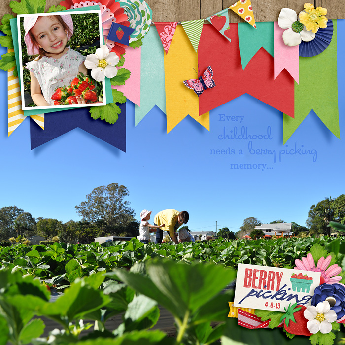 13-08-04-Berry-picking