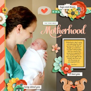 13-11-11-Motherhood-700