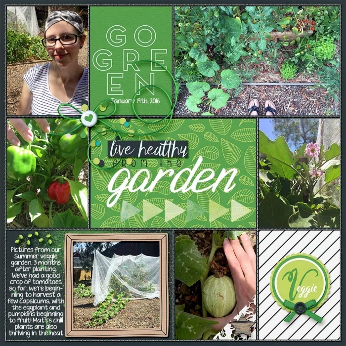 01-19-2015_veggiegarden-sml