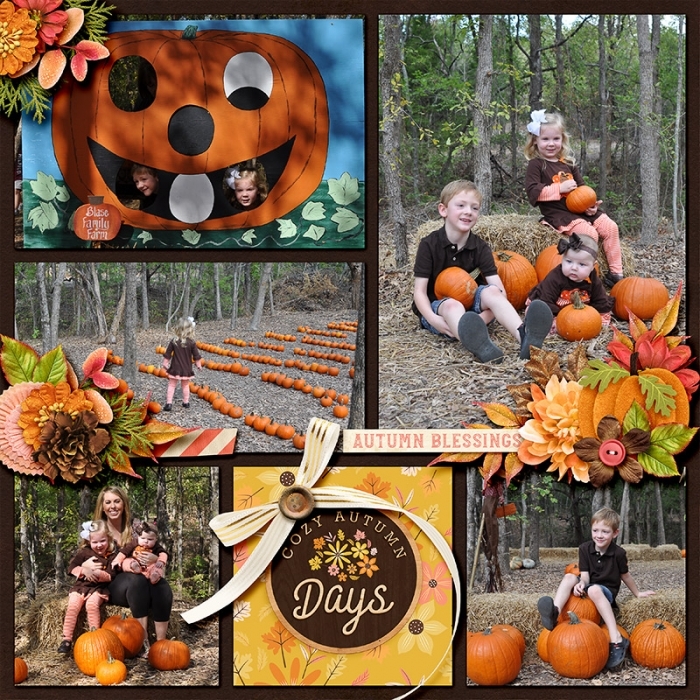 1-Pumpkin-patch-copy