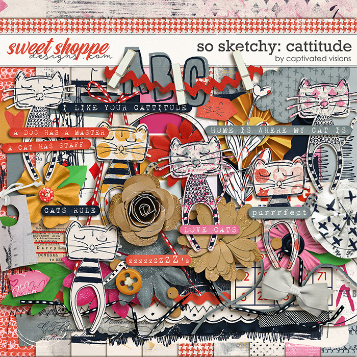 1-cvisions-cattitude-700-kit