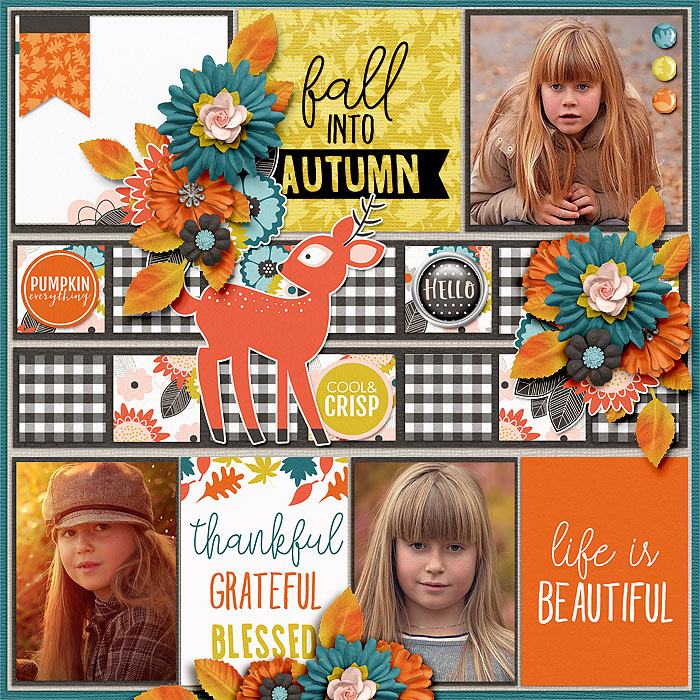 10anita_osip3_template2