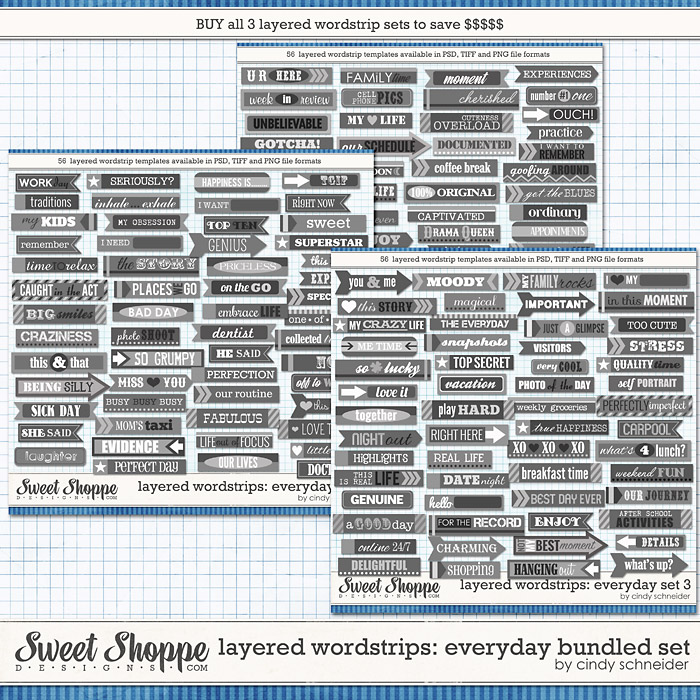 10cschneider-everydaywordstri