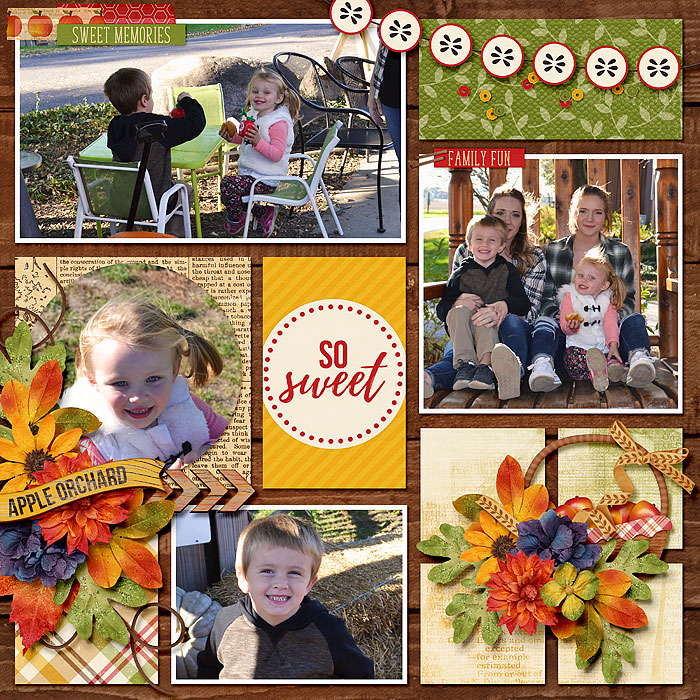 11ThisAutumnAppleOrchard_PhotoFrenzyEveryday_700