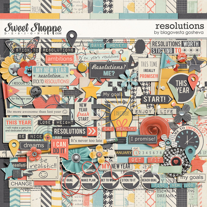 11bgosheva_resolutions