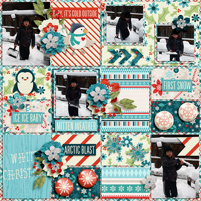 12Arctic-Blast