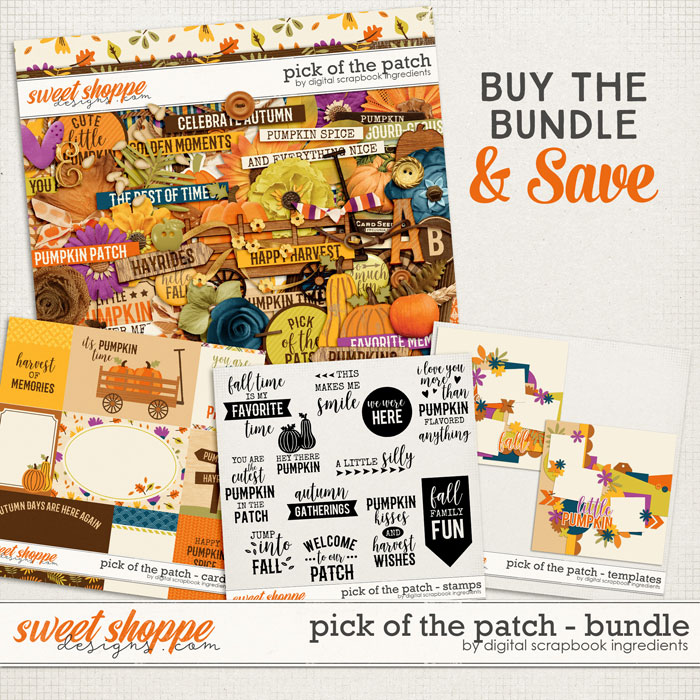 12dsi_pickofthepatch_preview-bundle-web
