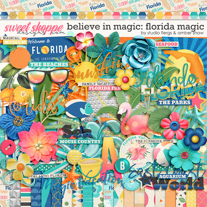 12ashawflergs-BIM-floridamagic-kit