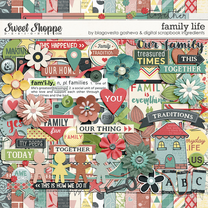 12bg_dsi_familylife_preview