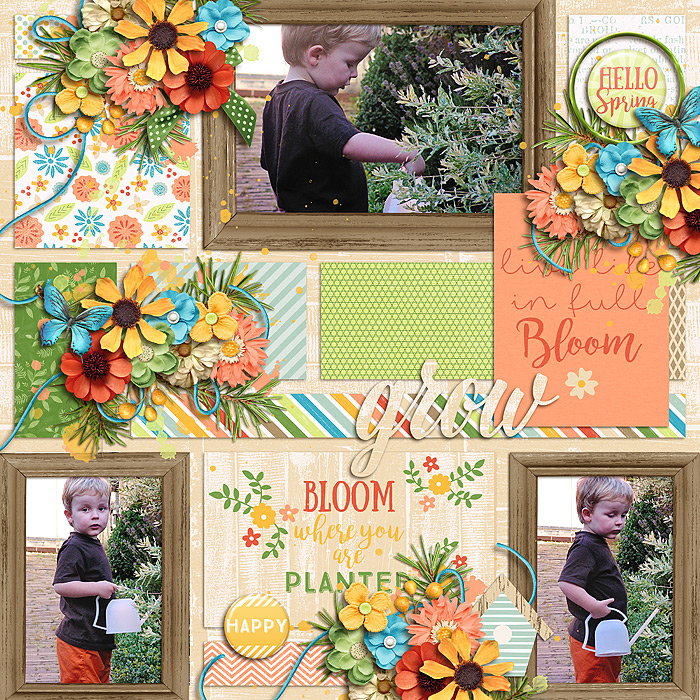 12biancka_bloom_700
