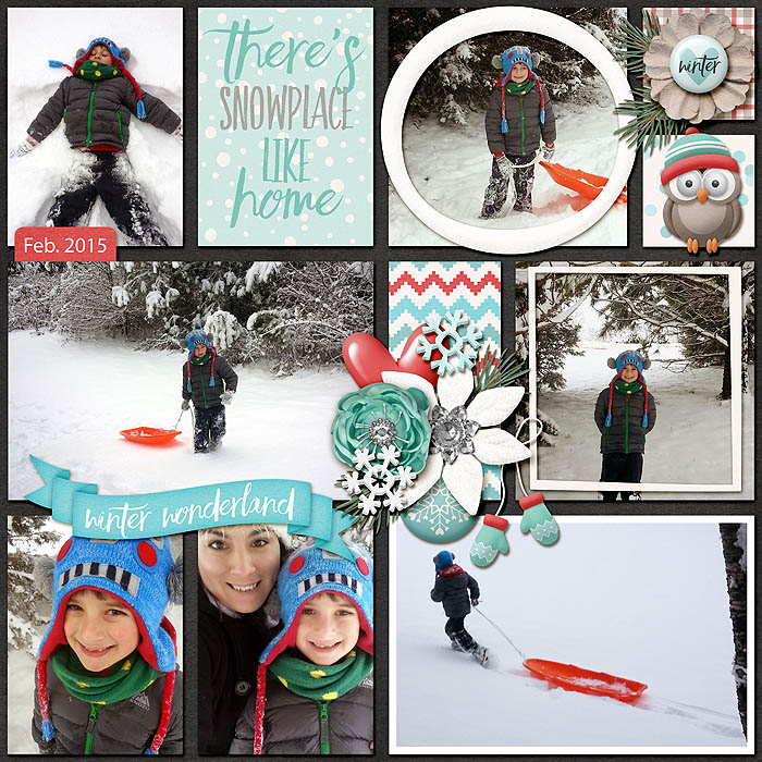 12shawnbear2015_snow_day_3