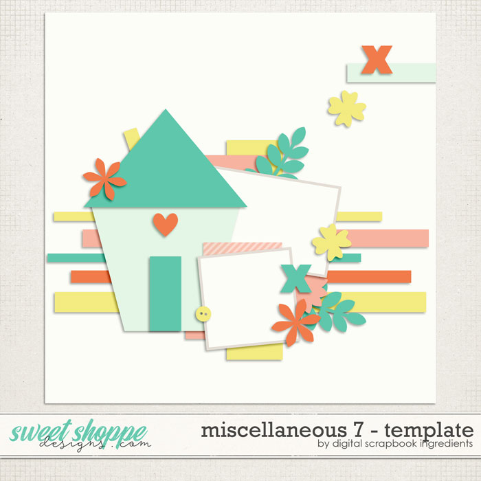 13DSI_Miscellaneous7_Template