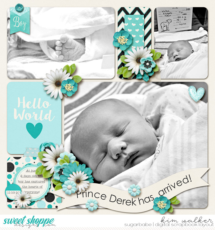 13Prince-Derek-has-ArrivedWM