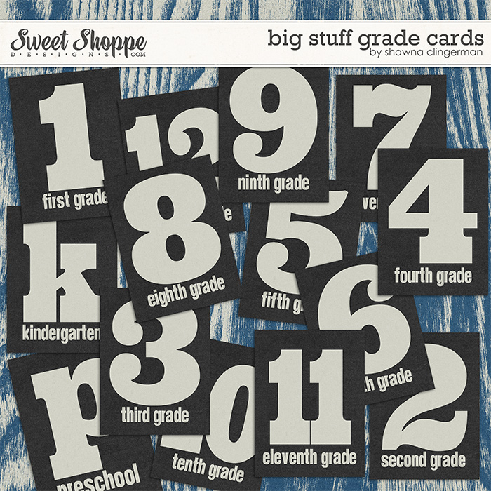 13sclingerman-bigstuff-gradecards-preview-01