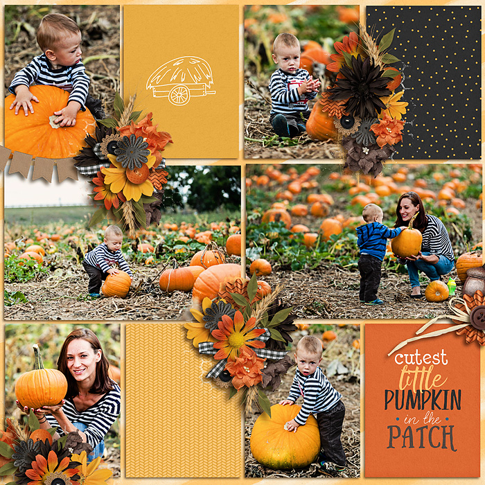 14cutestlittlepumpkinf700